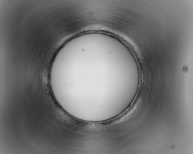 X0000103150929200808221125