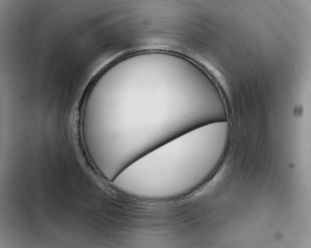 X0000103150933200808221125