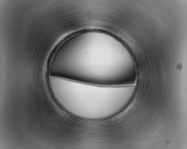 X0000103150934200808221125