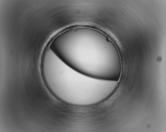 X0000103150935200808221125