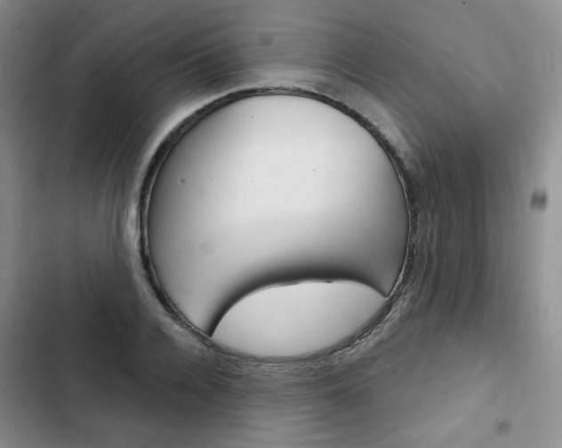 X0000103150936200808221125
