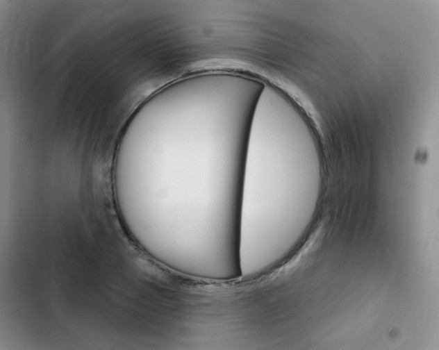 X0000103150937200808221125