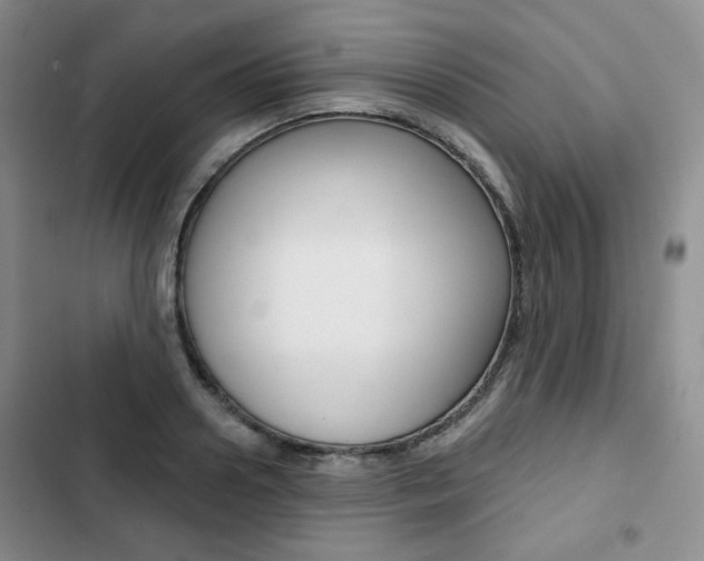 X0000103150938200808221125