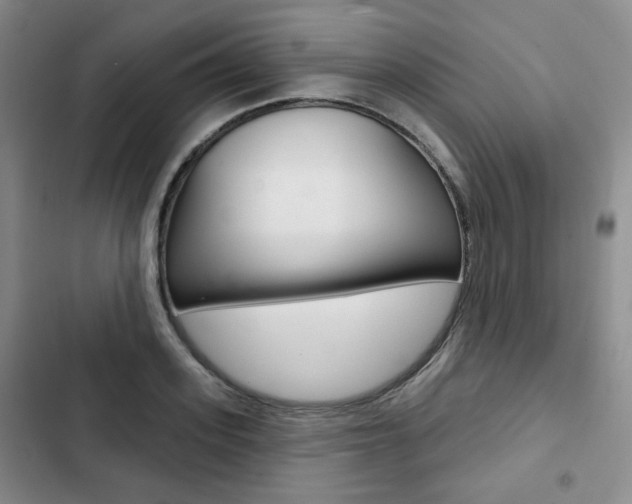 X0000103150939200808221125