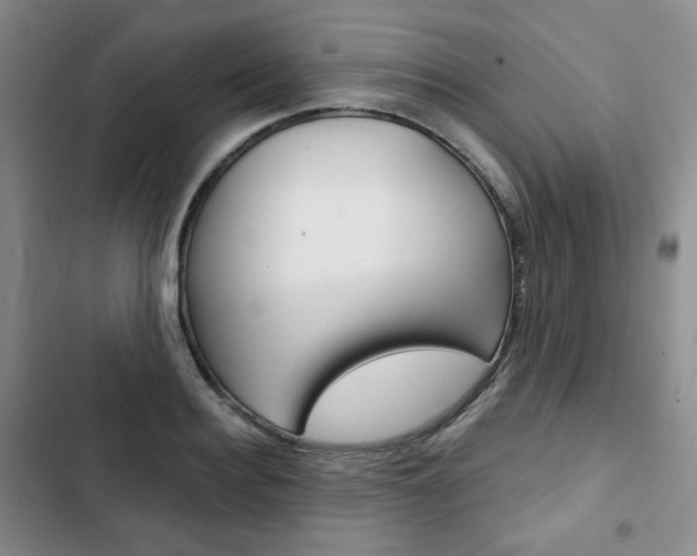 X0000103150940200808221125