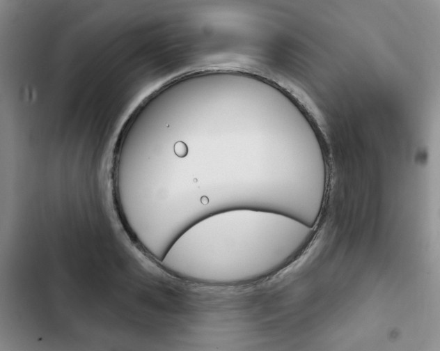 X0000103150941200808221125