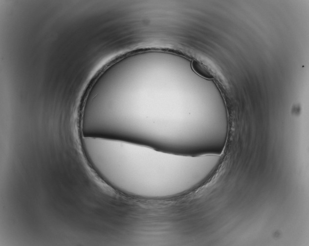 X0000103150942200808221125