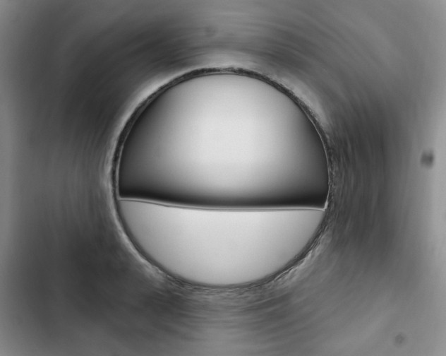 X0000103150943200808221125