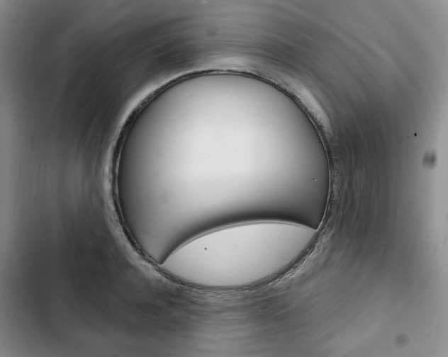 X0000103150944200808221125