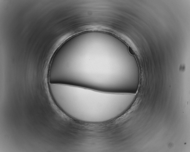 X0000103150946200808221125