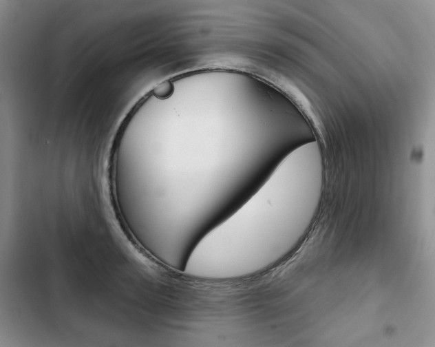 X0000103150947200808221125