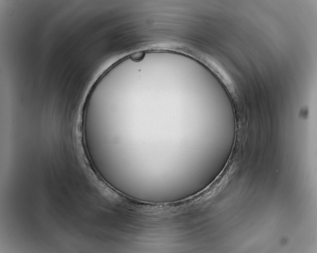X0000103150948200808221125