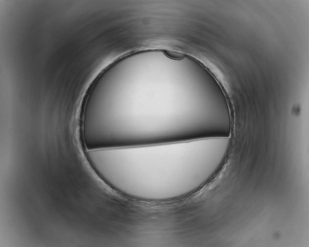 X0000103150949200808221125