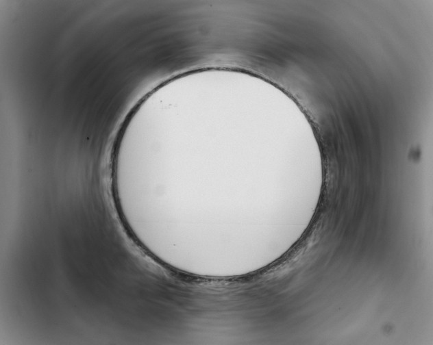 X0000103150950200808221125