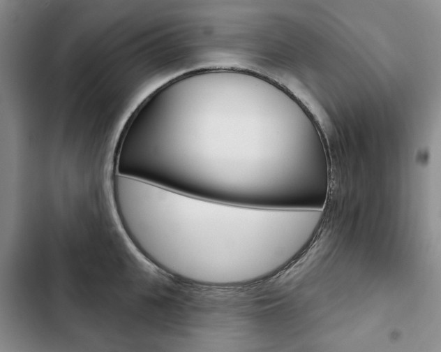 X0000103150951200808221125
