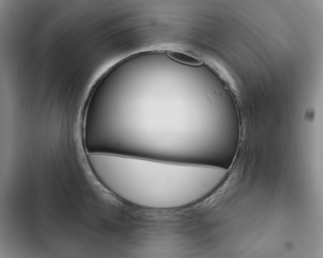 X0000103150952200808221125