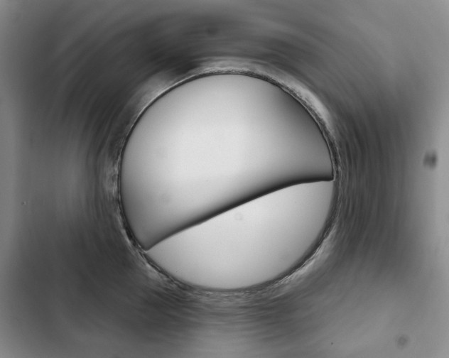 X0000103150953200808221125
