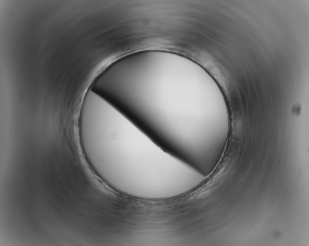 X0000103150954200808221125
