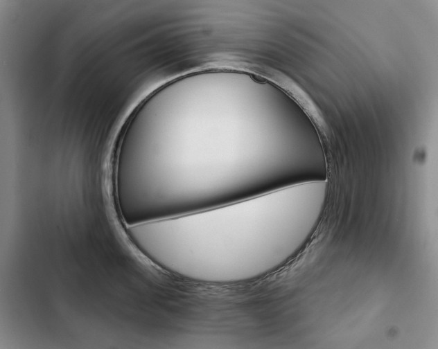 X0000103150955200808221125