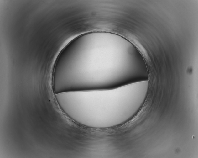 X0000103150956200808221125