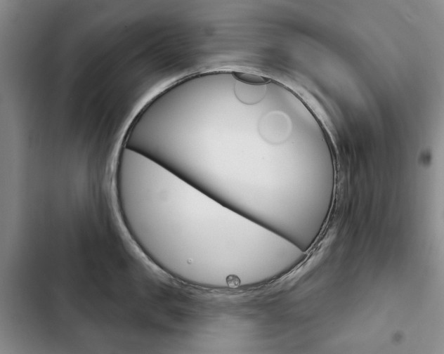 X0000103150957200808221125