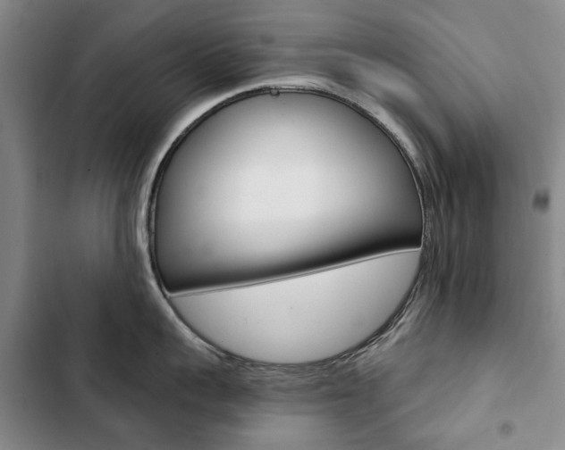 X0000103150959200808221125