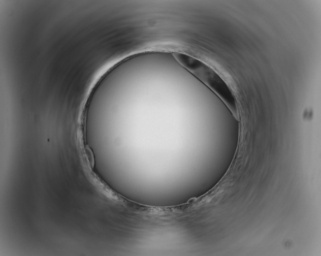 X0000103150960200808221126