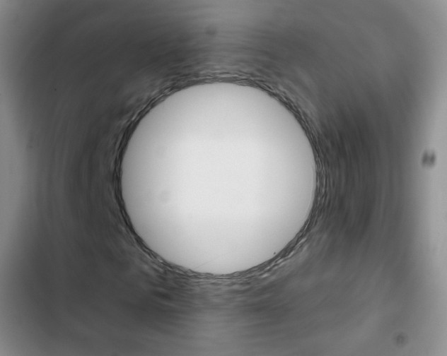 X0000103150961200808221125