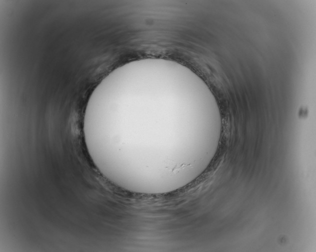X0000103150962200808221125