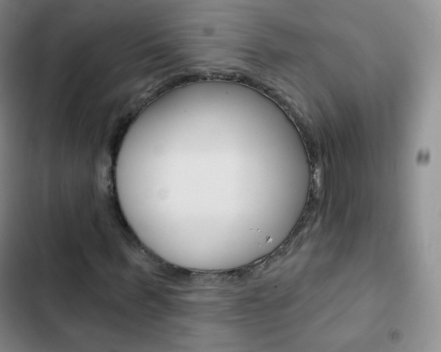 X0000103150963200808221125