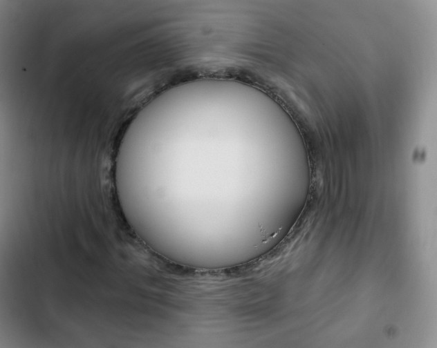 X0000103150964200808221125