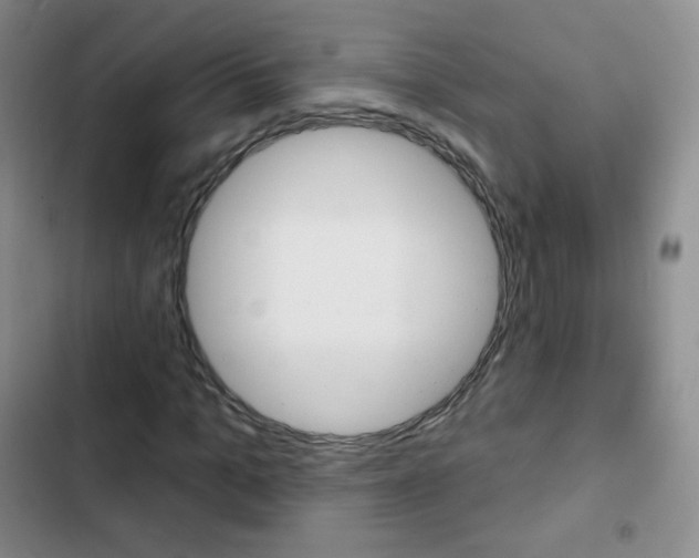 X0000103150965200808221125