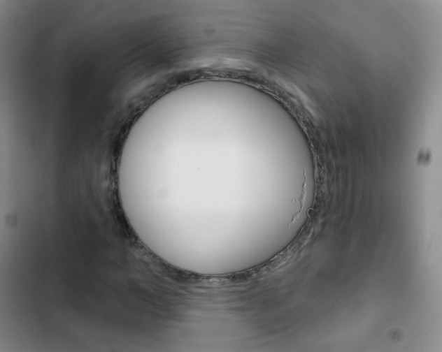 X0000103150966200808221125