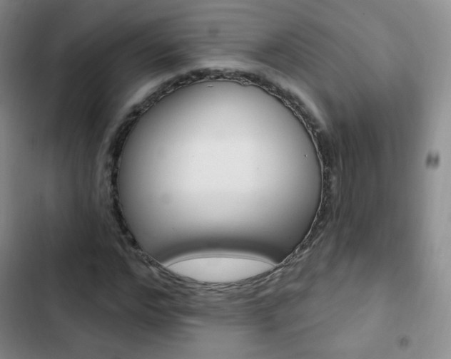 X0000103150968200808221124