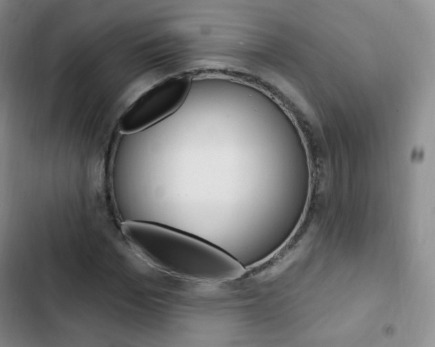 X0000103150969200808221124
