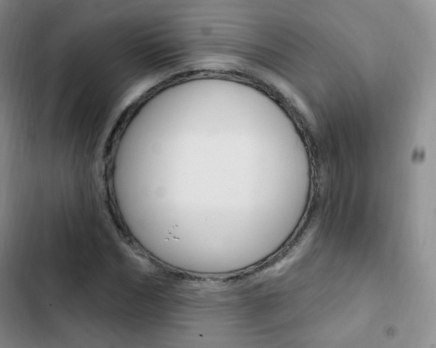 X0000103150970200808221124