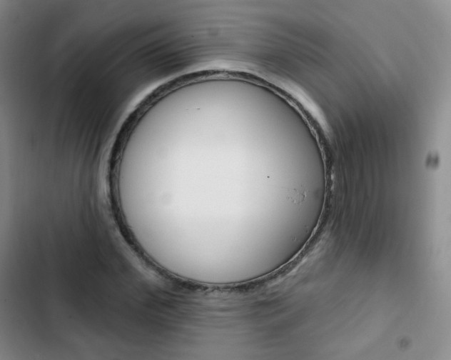 X0000103150972200808221124