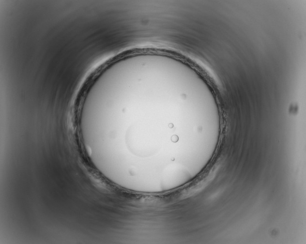 X0000103150974200808221124