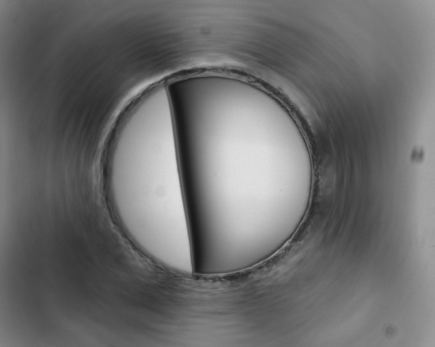 X0000103150975200808221124