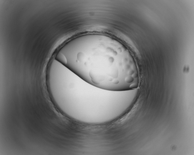 X0000103150978200808221124