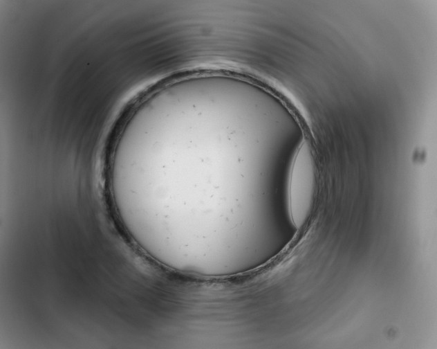 X0000103150979200808221124