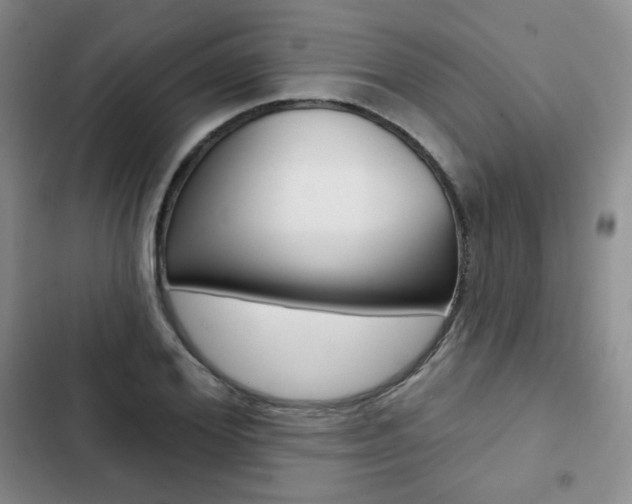 X0000103150980200808221124