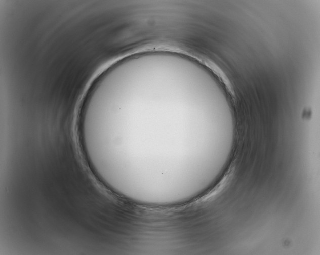 X0000103150981200808221124