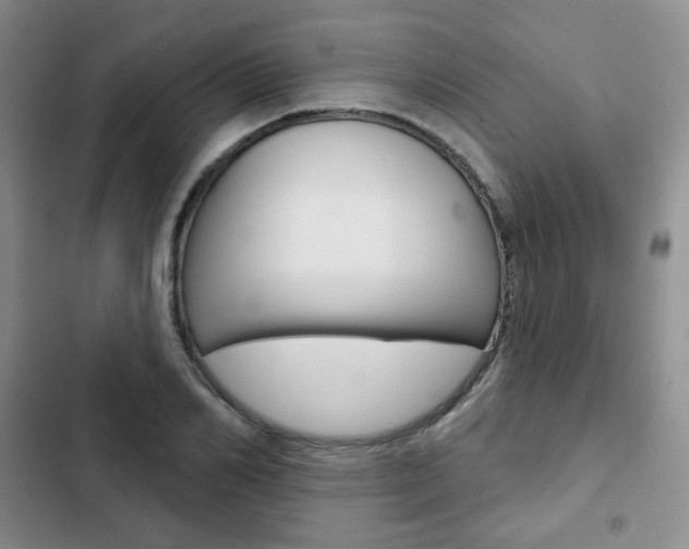 X0000103150982200808221124