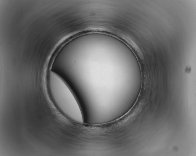 X0000103150984200808221124