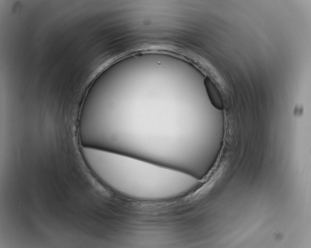 X0000103150985200808221124