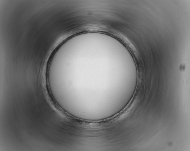 X0000103150986200808221124