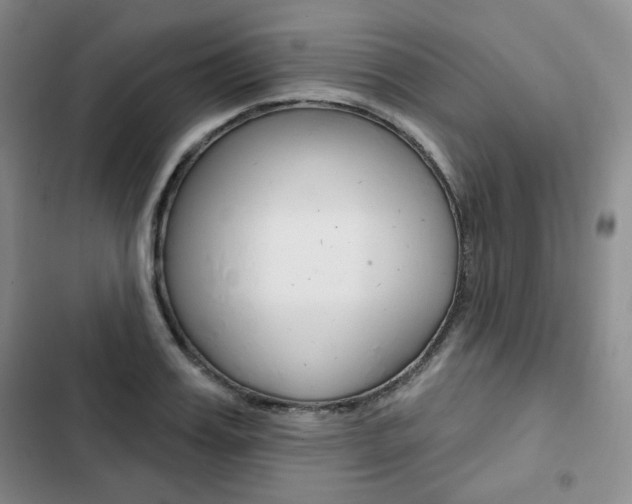 X0000103150987200808221124