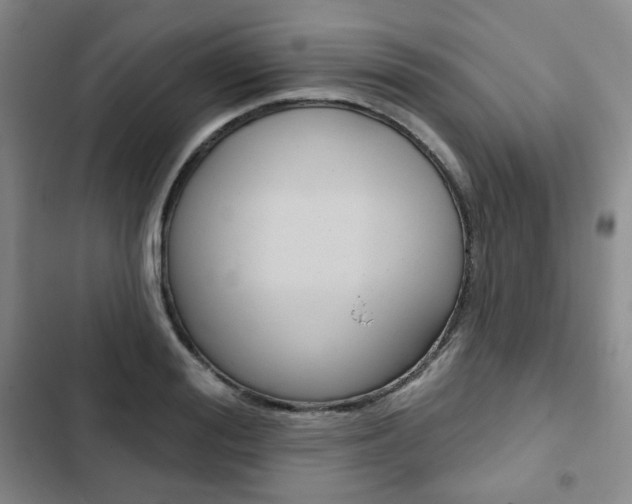 X0000103150988200808221124