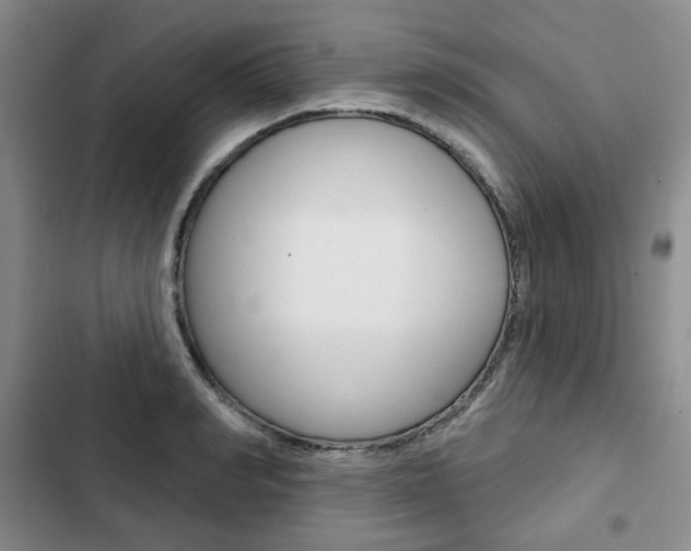 X0000103150990200808221124